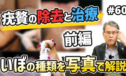制乌梅的功效与作用与主治-制乌梅的功效与作用网- 制乌梅的功效与作用性味及禁忌知识,分享制乌梅的功效与作用及禁忌